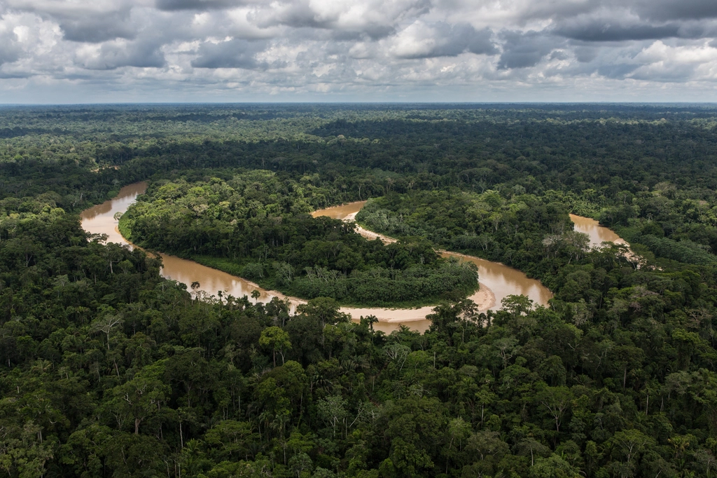 Río serpenteando por la selva amazónica